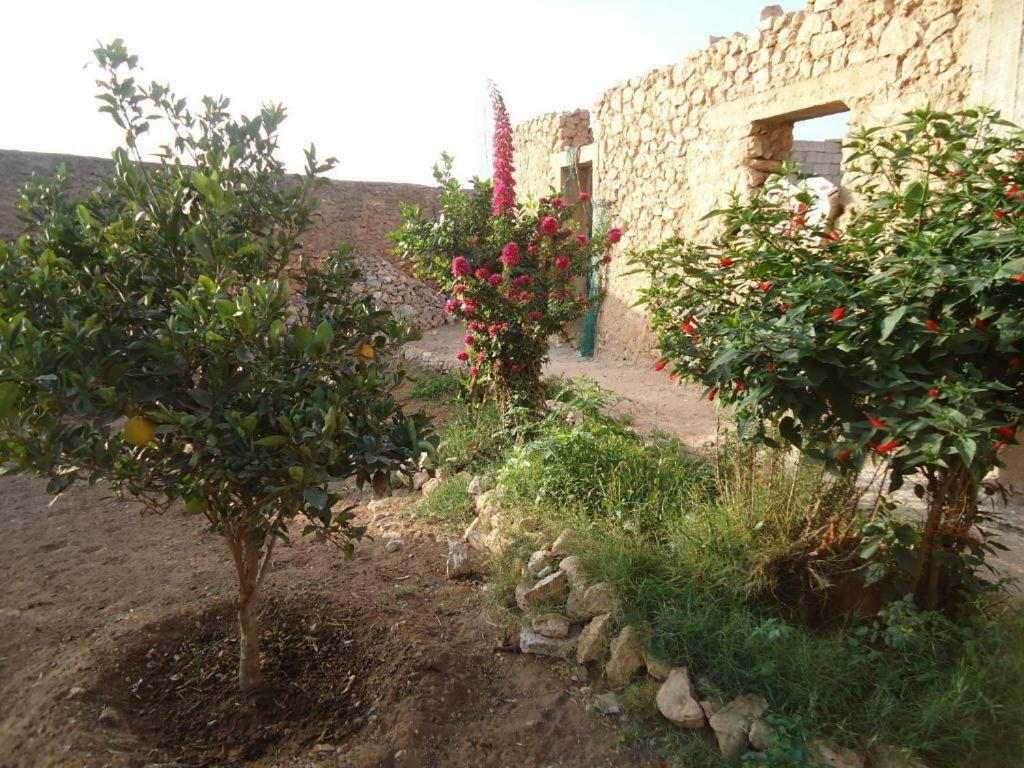 Homestay Takad Dream Rural